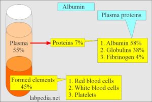 Lab Tests Labpedia Net