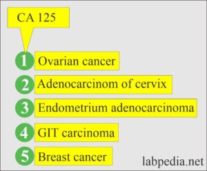 Tumor Marker Part 7 CA 125 And CA 19 9 Labpedia Net