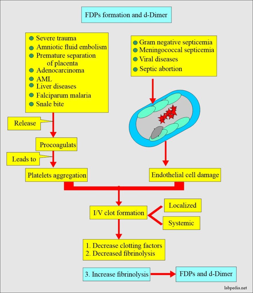 Fibrinogen Degradation Products Fdps Fibrin Split Products