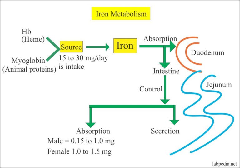 Iron Total Fe Total Iron Labpedia Net