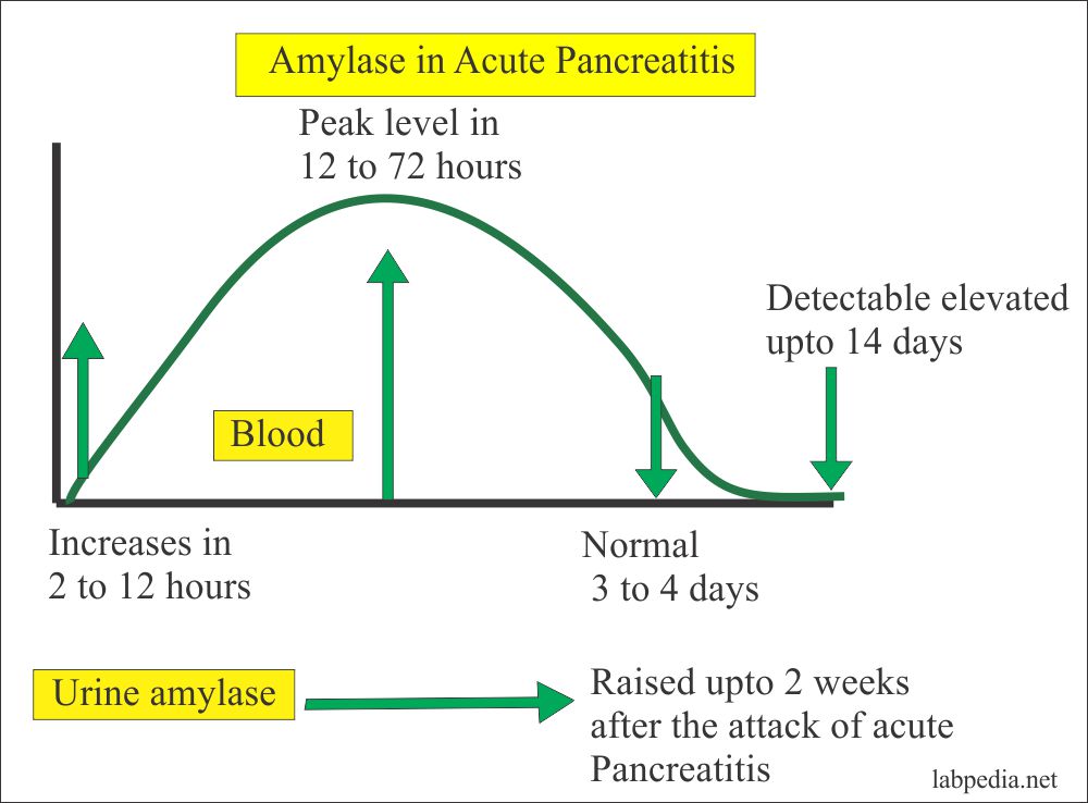 Amylase Acute Pancreatitis Curve 0 