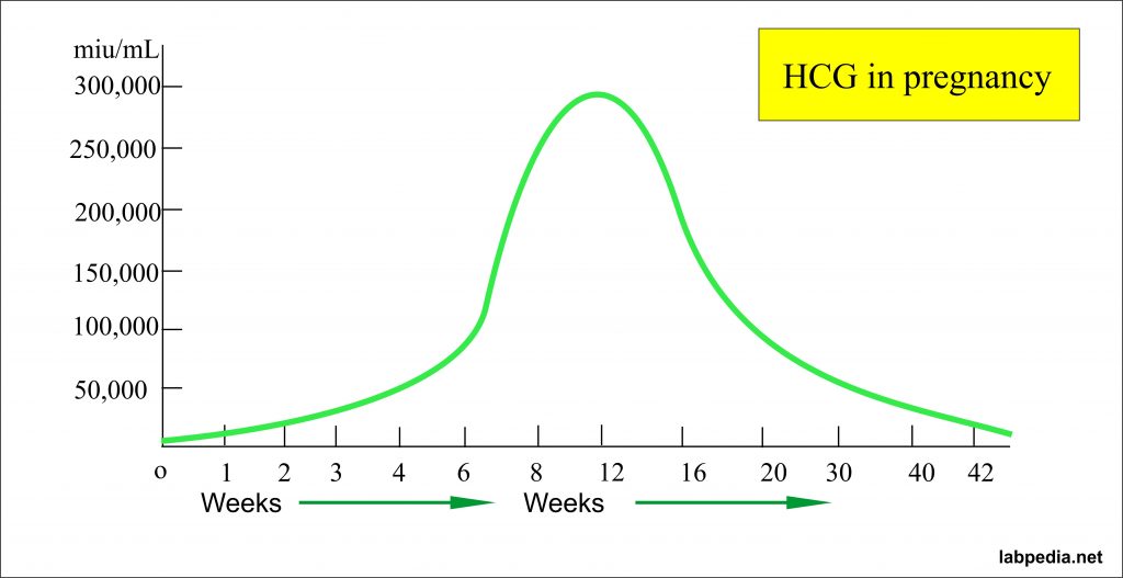 beta-hcg-level-hcg-human-chorionic-gonadotropin-hcg-labpedia