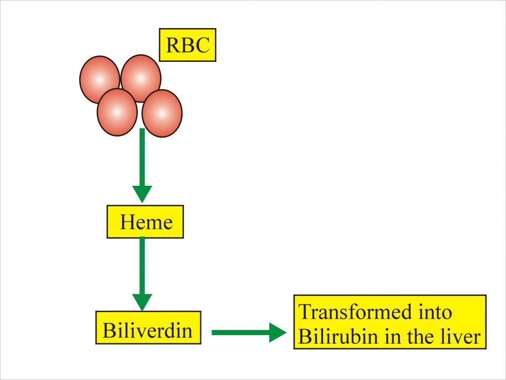 Bilirubin Part 1 Total Direct And Indirect Bilirubin Classification 