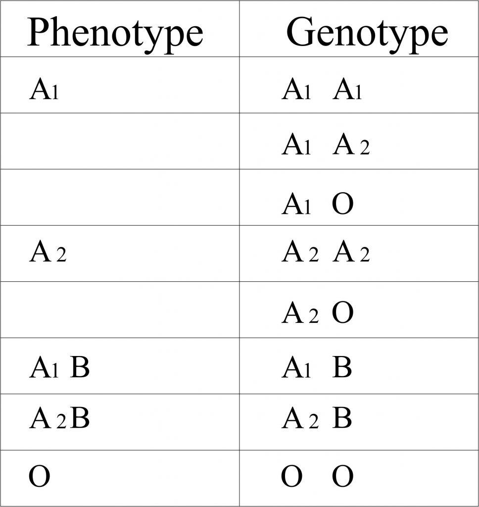 Blood Type Inheritance Chart