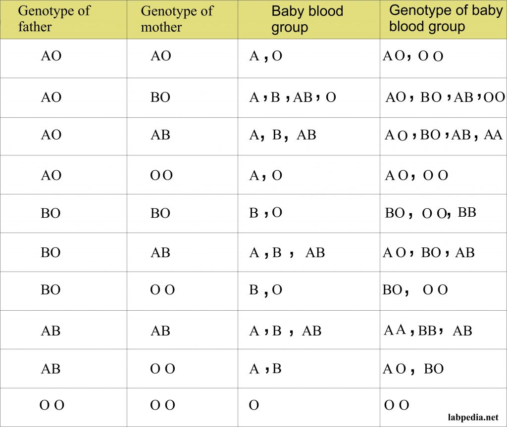 Blood Type Phenotype Chart