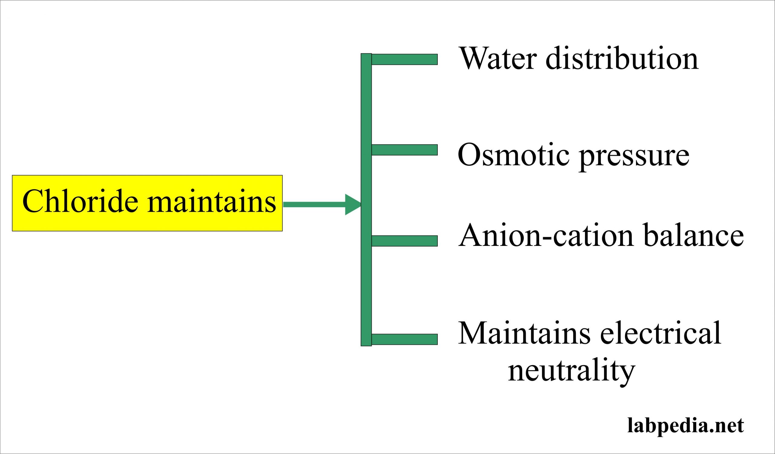 Chloride (Blood Chloride, Cl¯ )