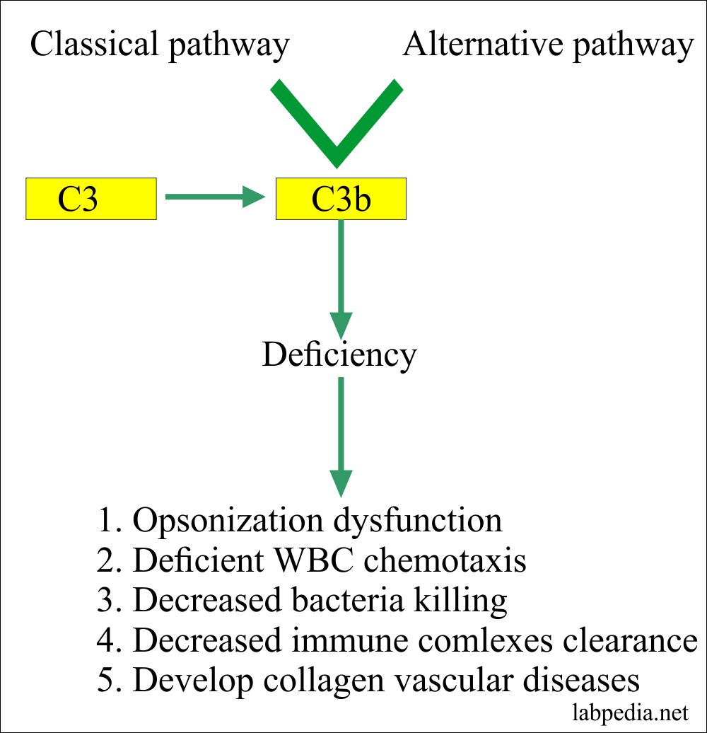 about-c3