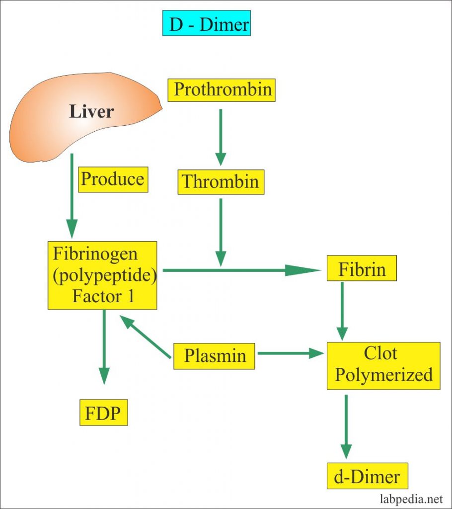 DDimer test, Fragment Ddimer, Diagnosis of Disseminated Intravascular