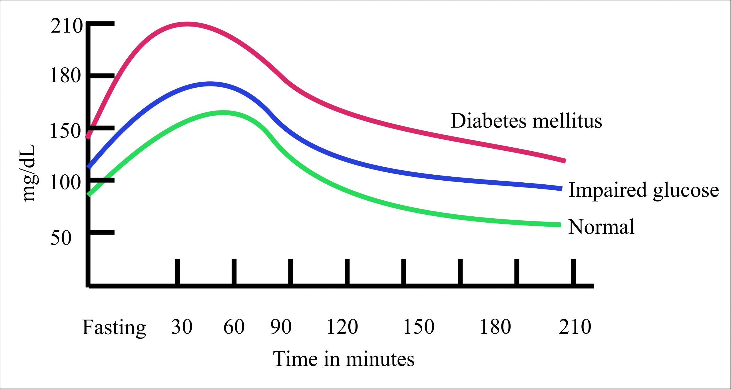 Diabetes Mellitus Part Carbohydrate And Glucose Metabolism Insulin And Glucagon