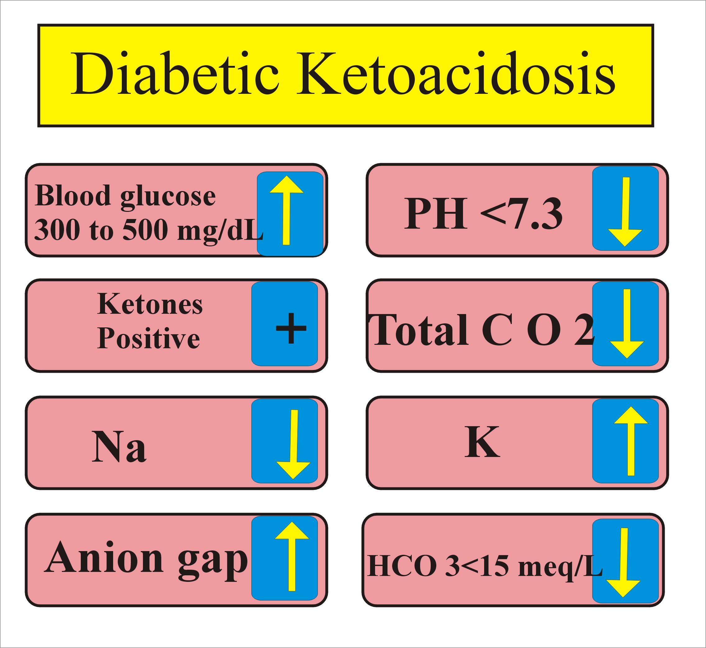 Ketoacidosis Diagnosis Diabetic Ketoacidosis Labpedia