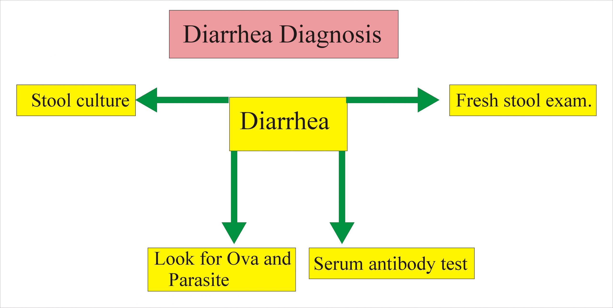 Diarrhoea -Part 2 – Causative agents and Diagnosis – Labpedia.net