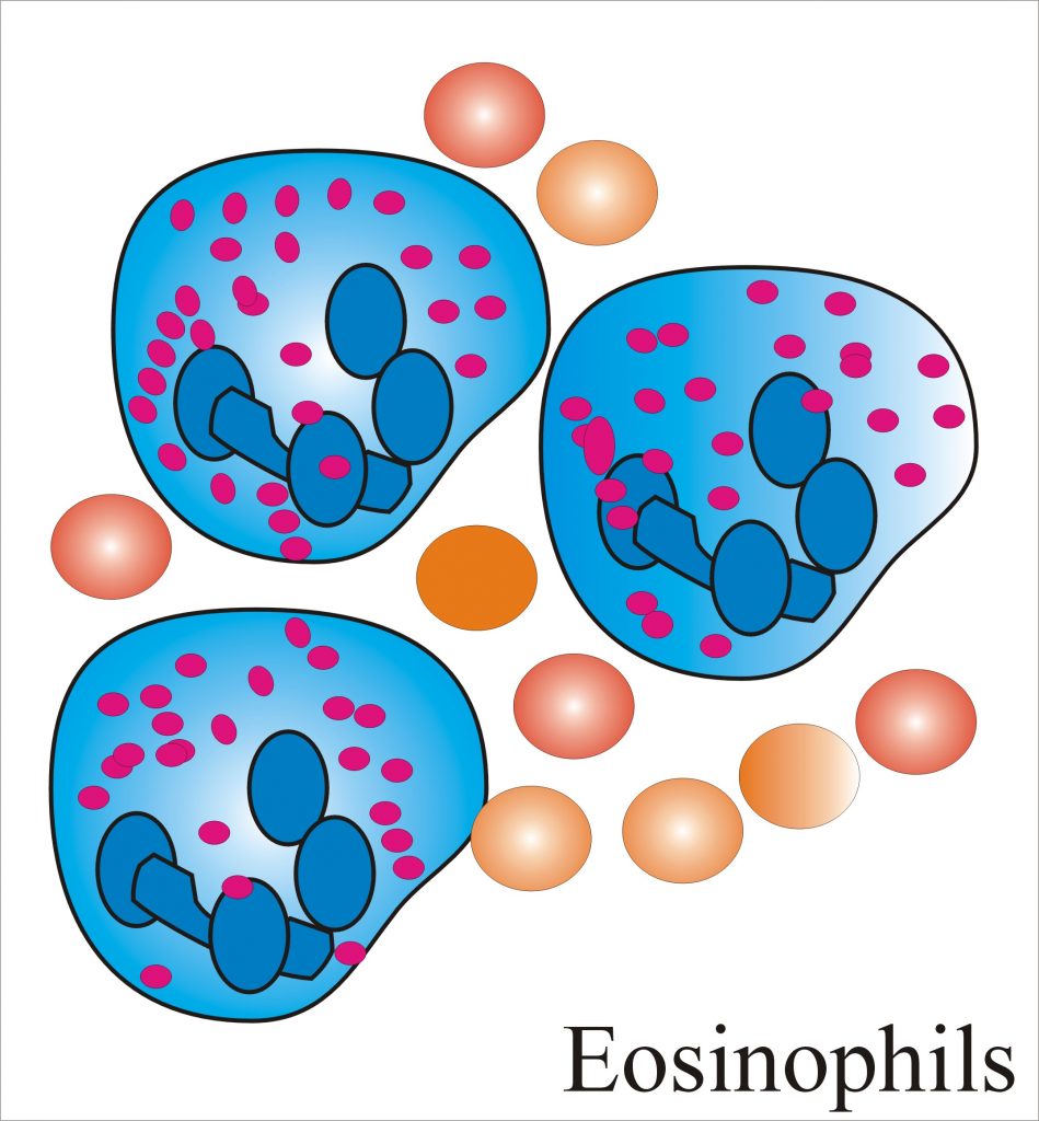 eosinophil-count-absolute-eosinophil-count-labpedia