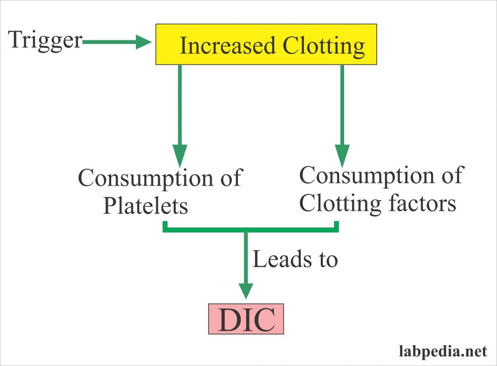 Fibrinogen Degradation Products Fdp Or Fibrin Split