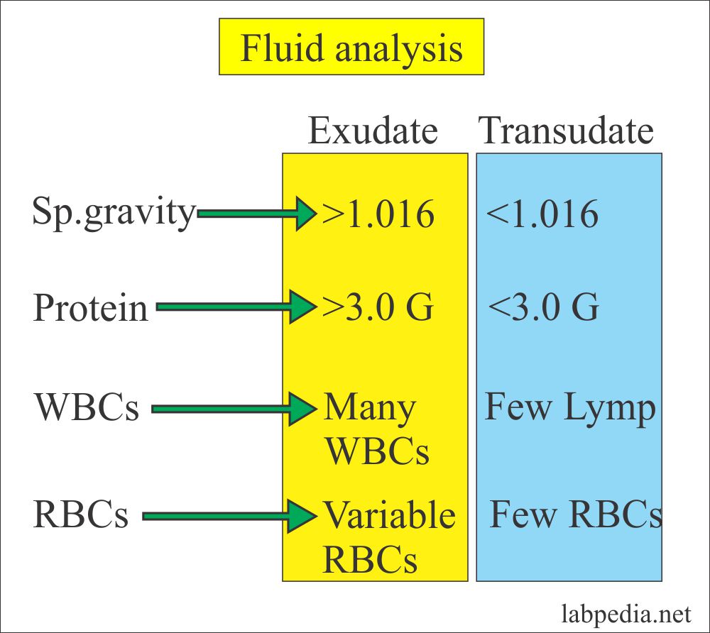 Fluid Analysis – Part 1 – Normal findings, Pleural, Pericardial, and ...