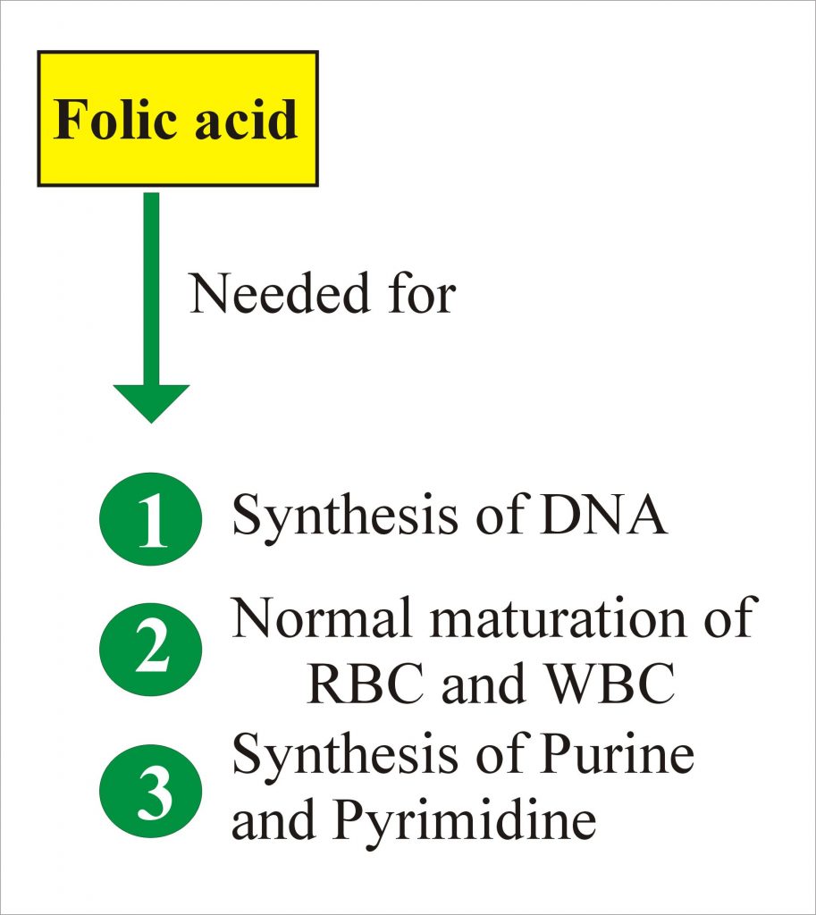 Folic Acid And Folate Labpedia Net