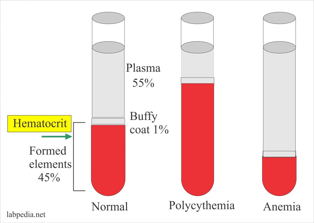 how to increase for low hematocrit and hemoglobin