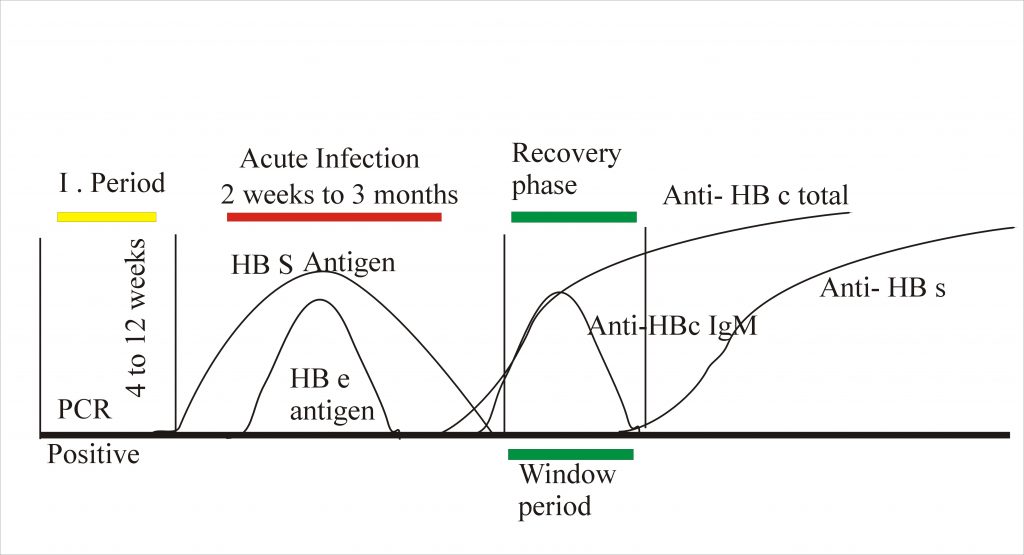 Hepatitis B Virus – Part 2 – Surface Antigen (HbS) By ELISA, Australia ...