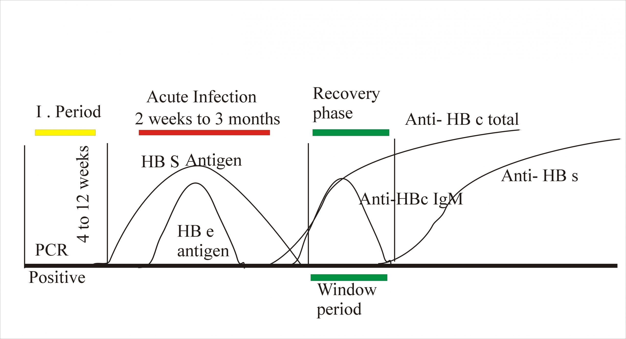 hepatitis a transmission rate