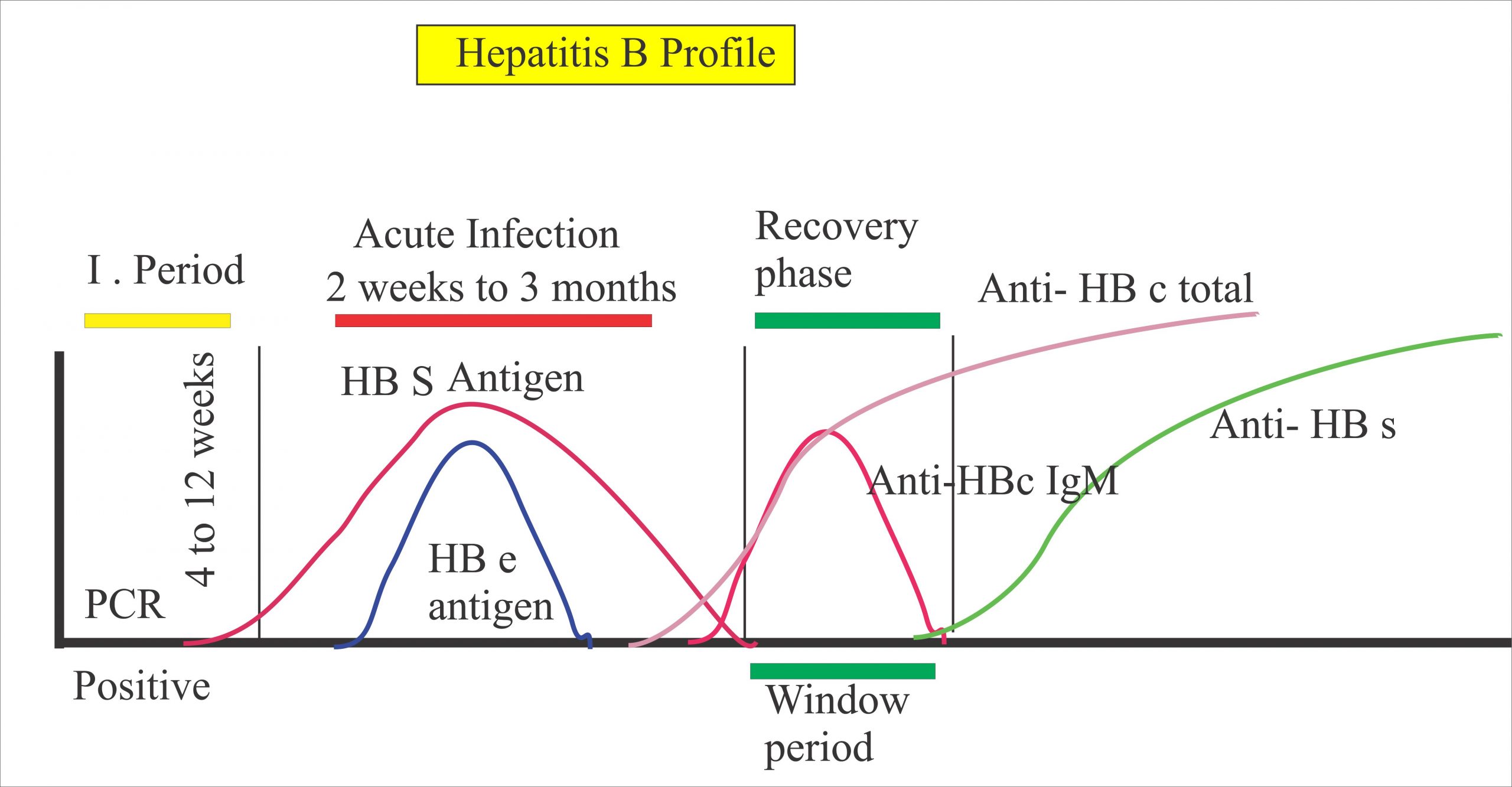 Hepatitis B Virus Part 3 Anti Hbs Screening For Blood Donor And Population Hbv Labpedia Net