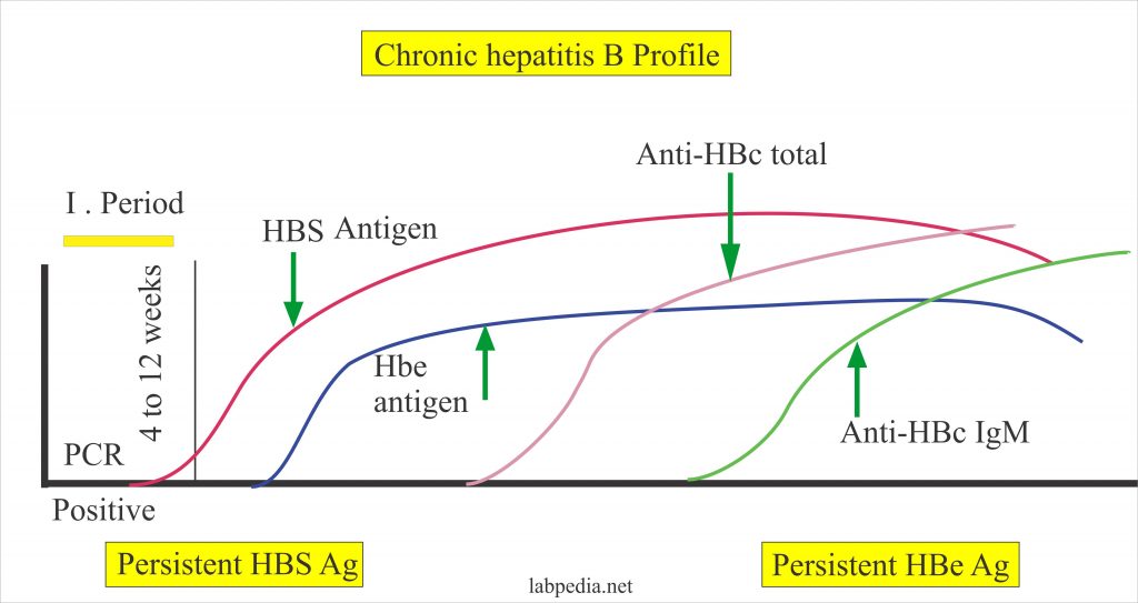 hepatitis-b-virus-part-5-hepatitis-be-antigen-hbe-ag-hbv