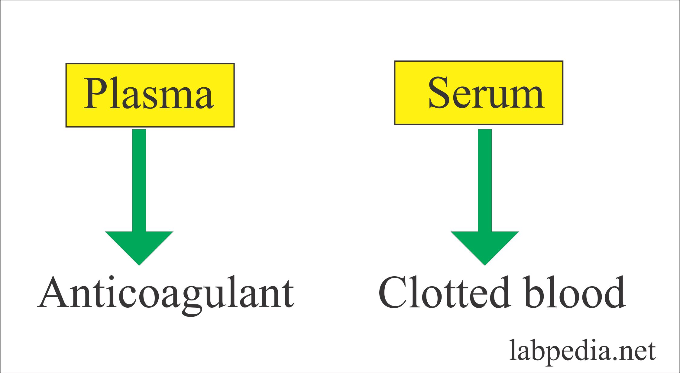 Laboratory:- Part 1 - Serum, Plasma Preparation, Specimen Storage