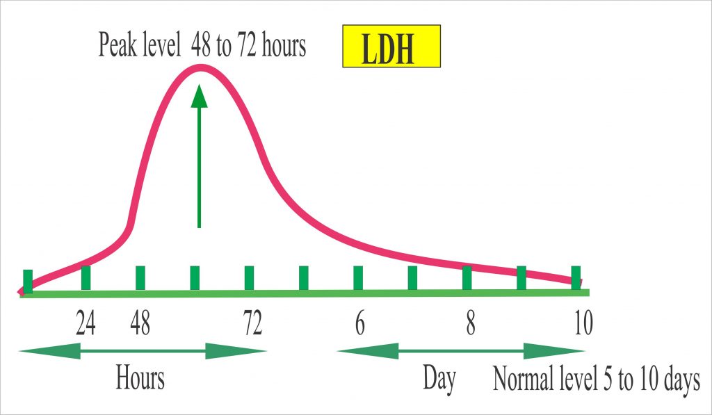 Lactate Dehydrogenase Level Ldh Lactic Dehydrogenase