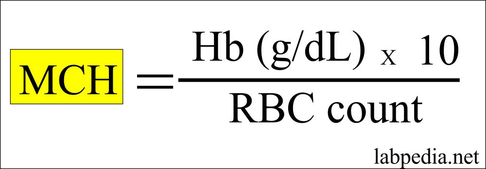 Mchc Equation