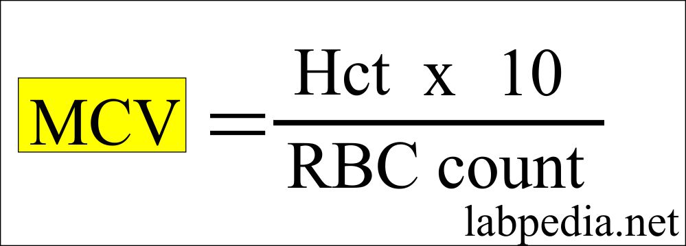 How To Calculate Mcv And Mchc