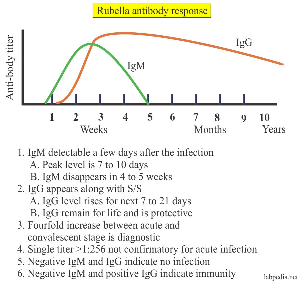 Rubella Antibody Tests, Haemagglutination Inhibition, Agglutination, ELIZA and Immunoassay