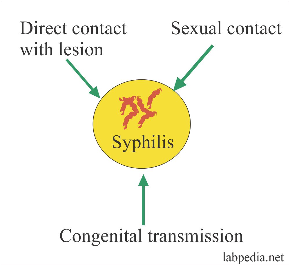 presentation of syphilis