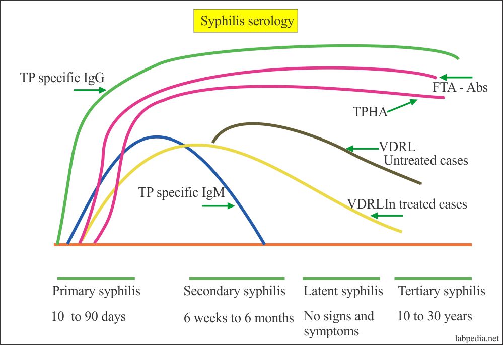 Syphilis serological profile