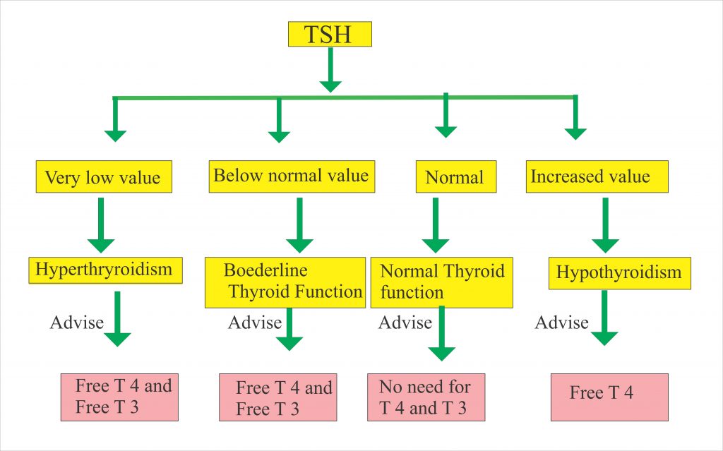 tsh normal range