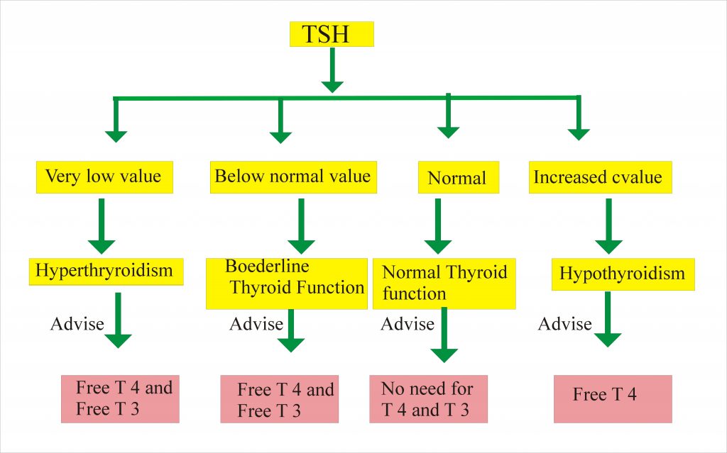 Thyroid Part 8 T3 Free Free Triodothyronine Labpedia
