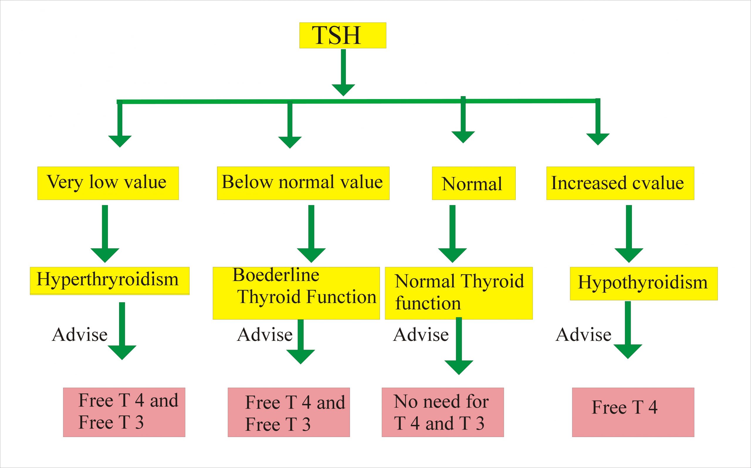 Thyroid - Part 8 - T3 Free , Free Triodothyronine - Labpedia.net