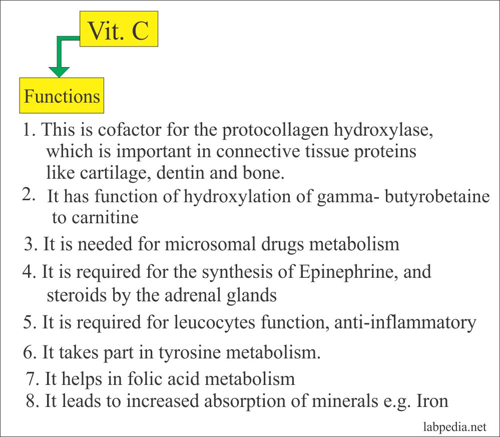 Vitamin C Ascorbic Acid Labpedia