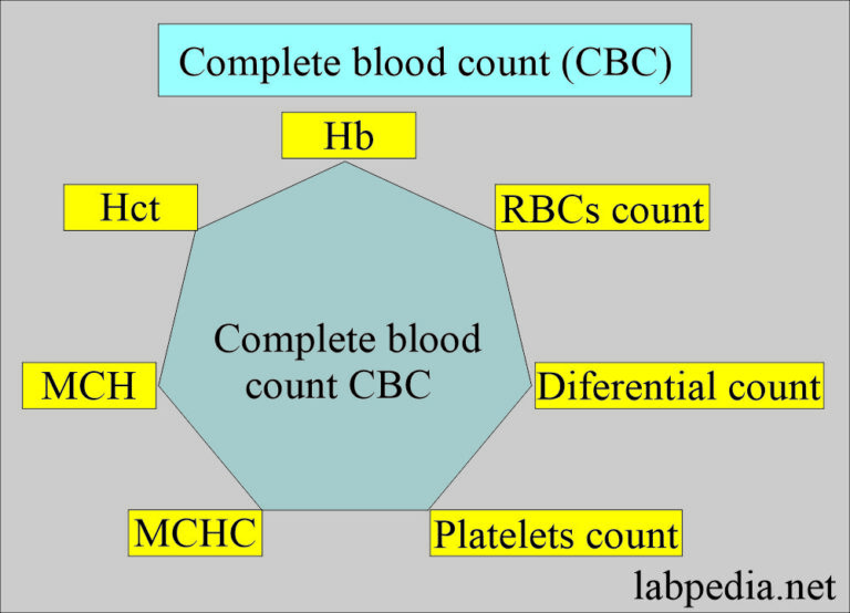 Lab Tests And Their Significance, Complete Blood Count (CBC) - Labpedia.net