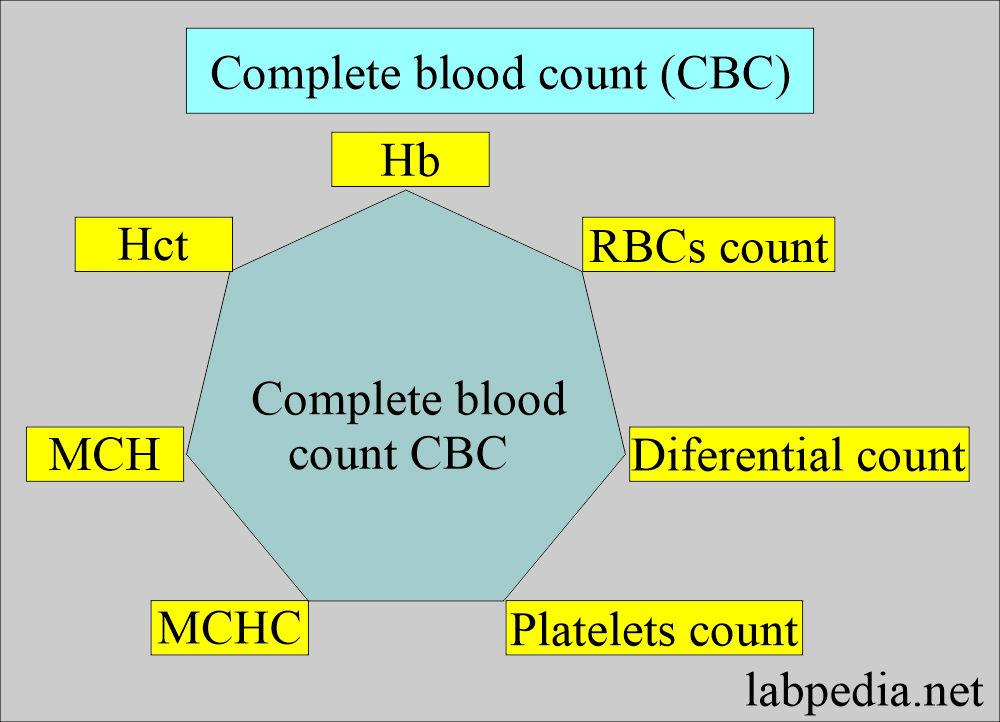 Complete blood count (CBC)