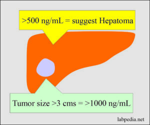 icd 10 codes that cover afp tumor marker
