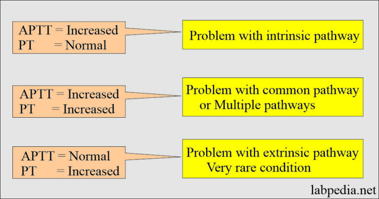 coagulation-part-4-partial-thromboplastin-time-ptt-and-aptt