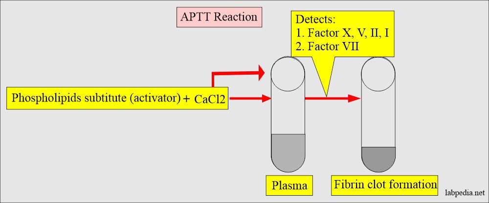 Principle of APTT reaction