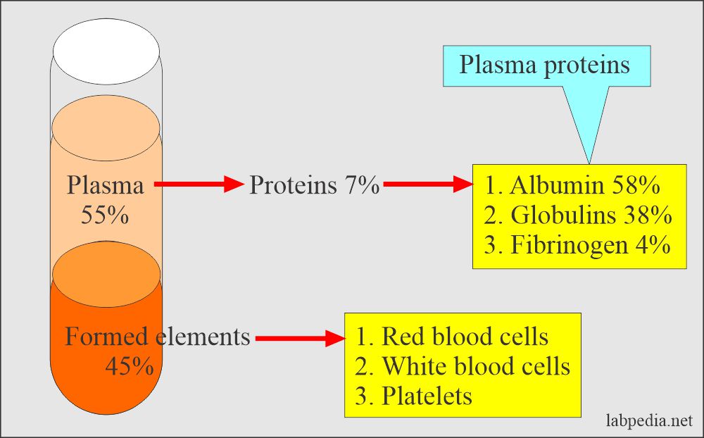 Plasma and Red Blood Cells Contents Difference: Plasma contents
