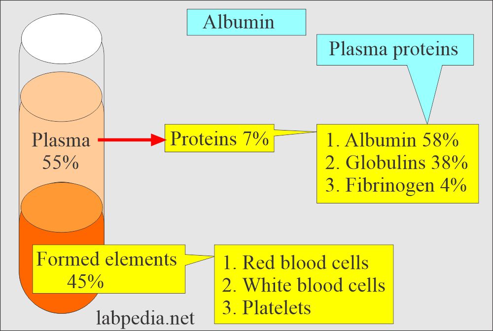 Albumin and plasma
