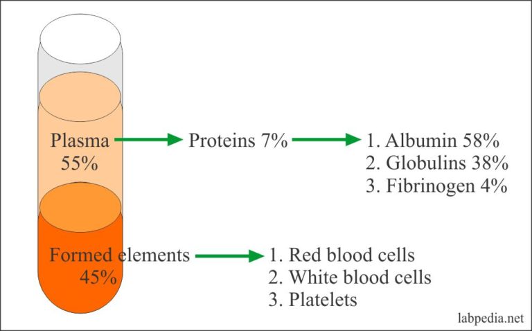 important-information-about-low-globulin-all-must-be-aware-of-youtube