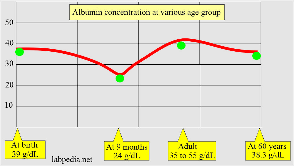 Albumin concentration at various age groups