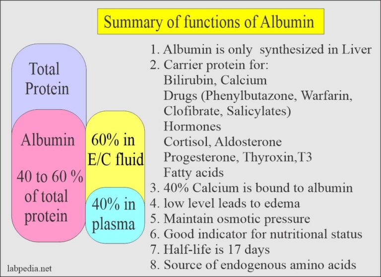 causes of low globulin levels