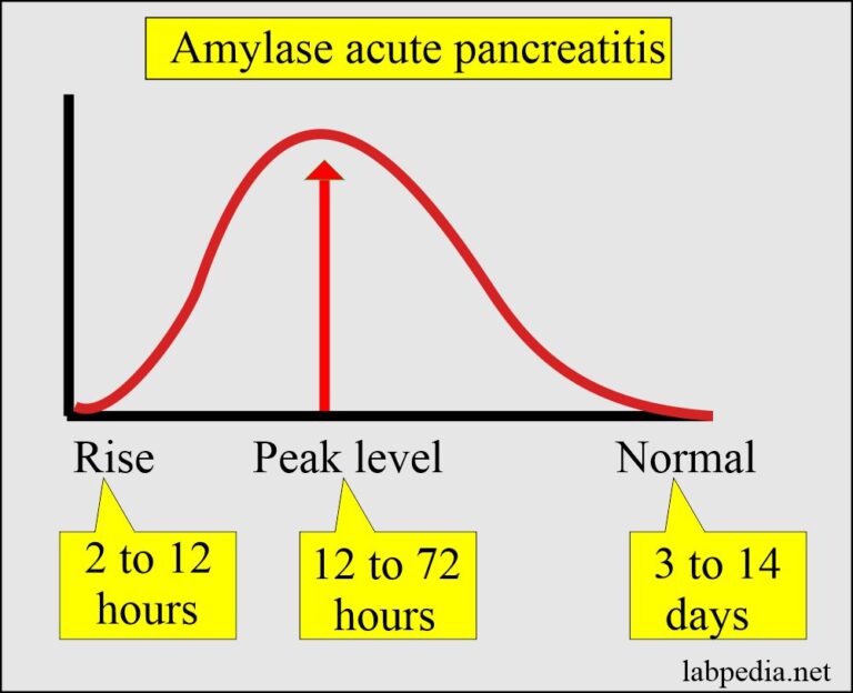 Amylase Serum and Acute Pancreatitis Diagnosis