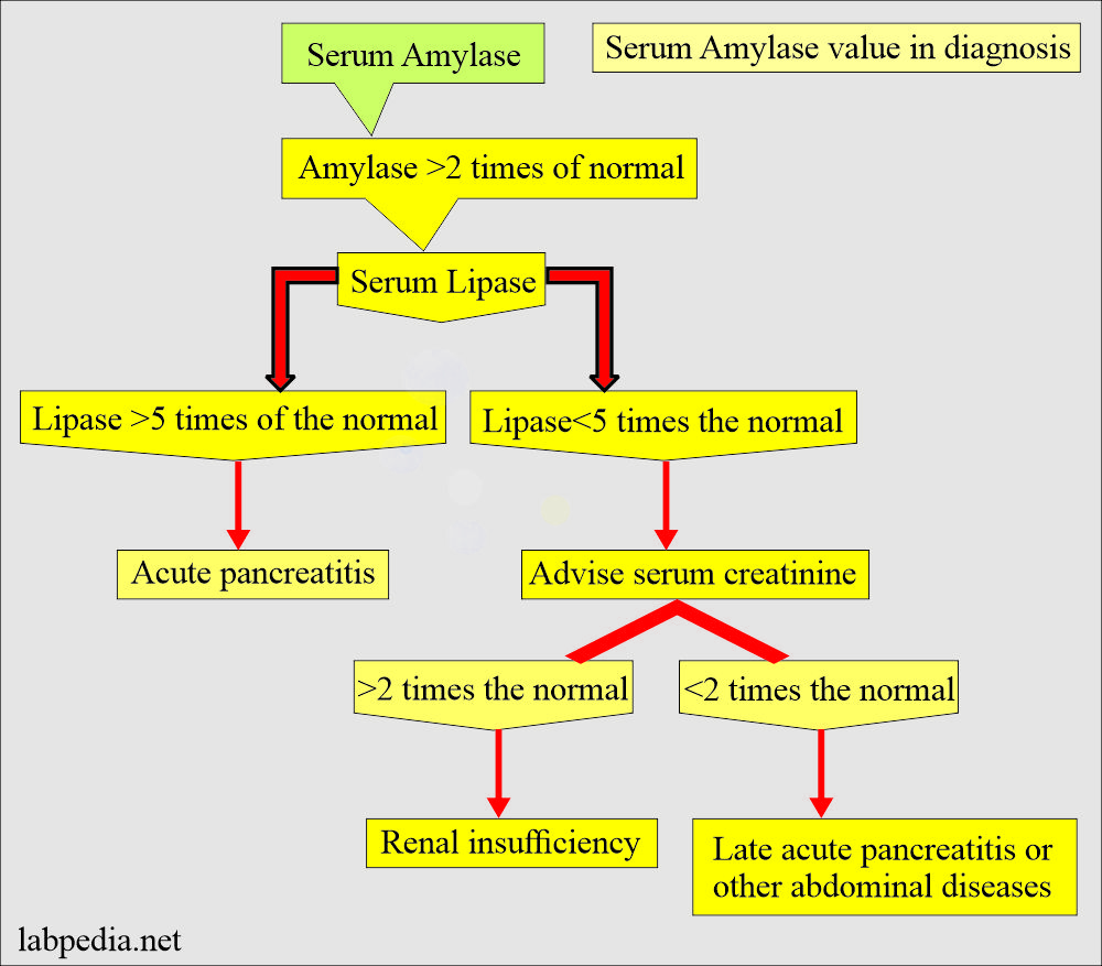 Amylase value in the differential diagnosis