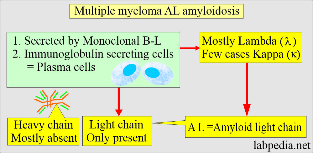 Amyloidosis AL in multiple myeloma