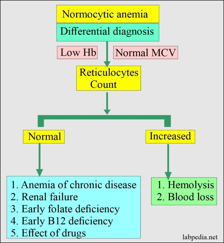 Anemia Part 1 Anemia Classification Diagnosis And Routine Work Up 