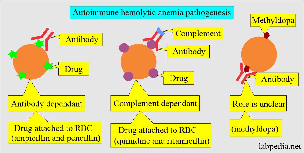 Autoimmune hemolytic anemia due to drugs